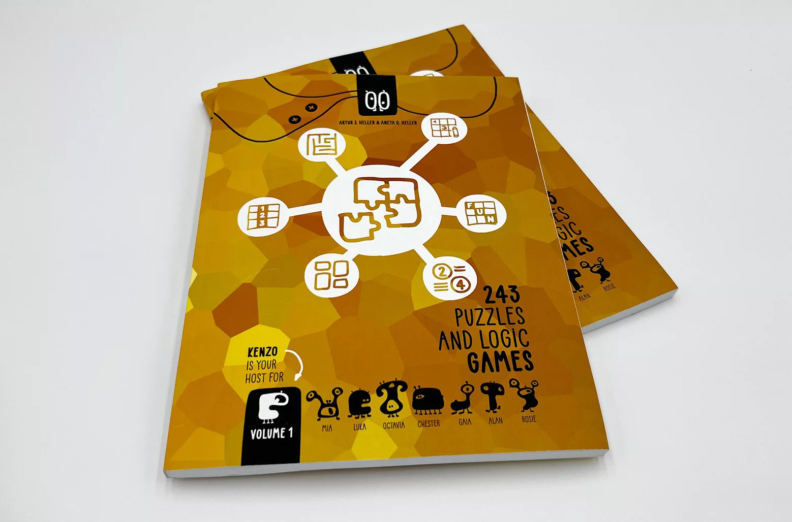 243 Logic and Puzzle Games digital edition