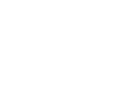 light logo