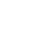 Brain Play