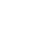 light logo