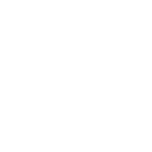 ROLL DICE